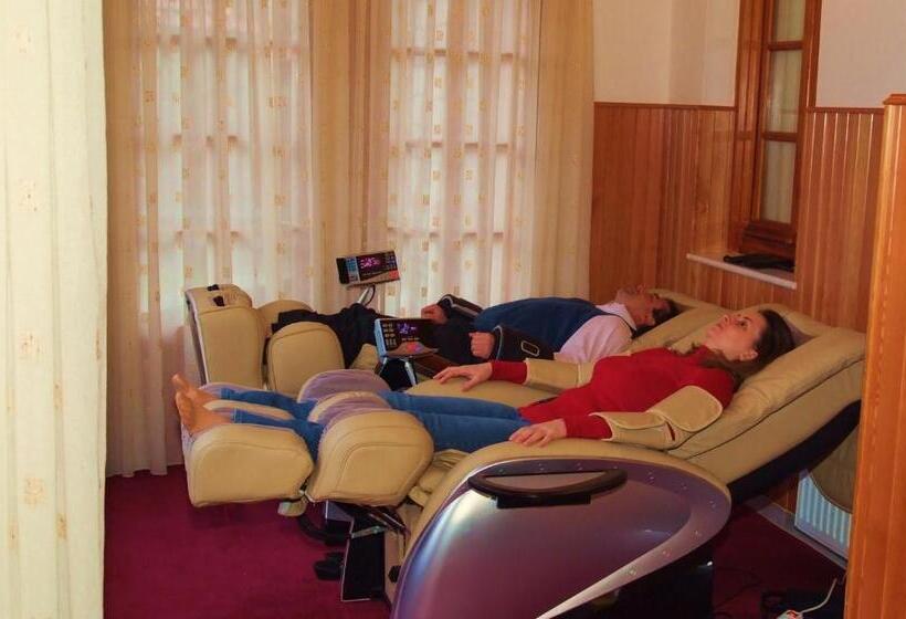 수피리어 패밀리 룸, Archontiko Metsovou Luxury Boutique