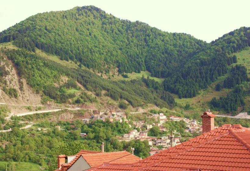 이그제큐티브 룸, Archontiko Metsovou Luxury Boutique