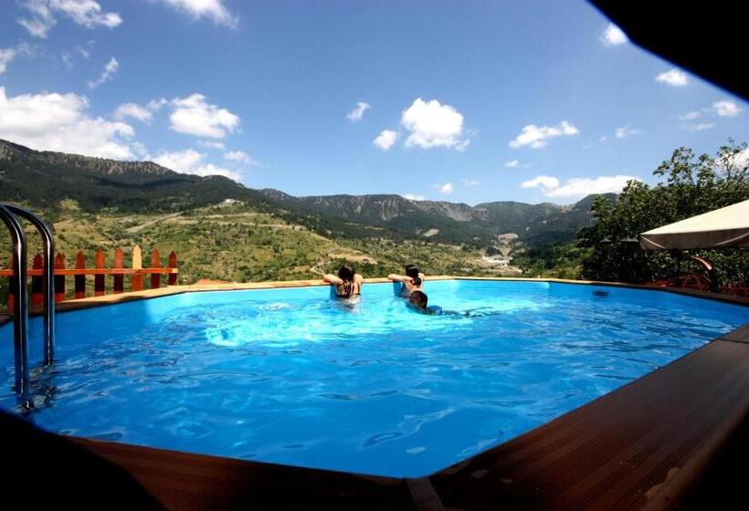 스탠다드 룸, Archontiko Metsovou Luxury Boutique