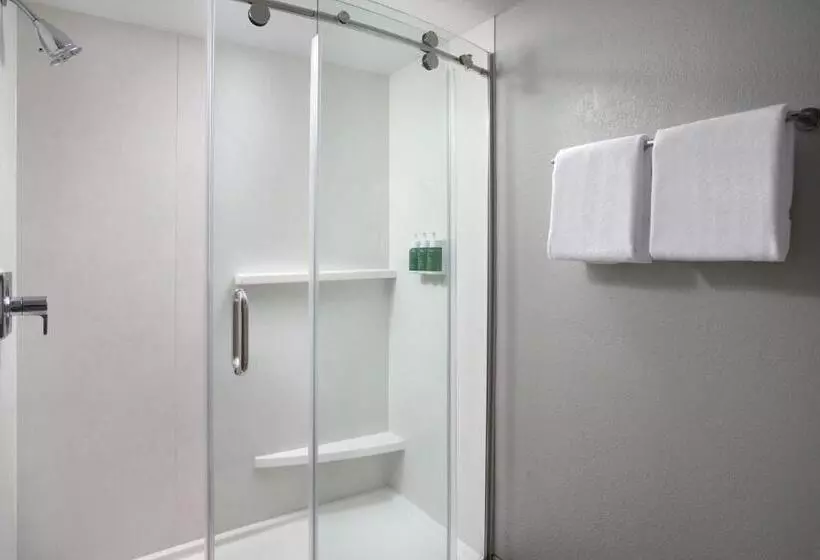 اتاق استاندارد با تخت بزرگ, Courtyard By Marriott Myrtle Beach Broadway