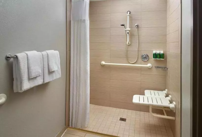 اتاق استاندارد با تخت بزرگ, Courtyard By Marriott Myrtle Beach Broadway