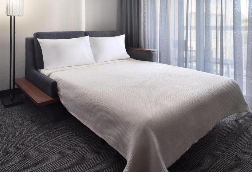 اتاق استاندارد با تخت بزرگ, Courtyard By Marriott Myrtle Beach Broadway