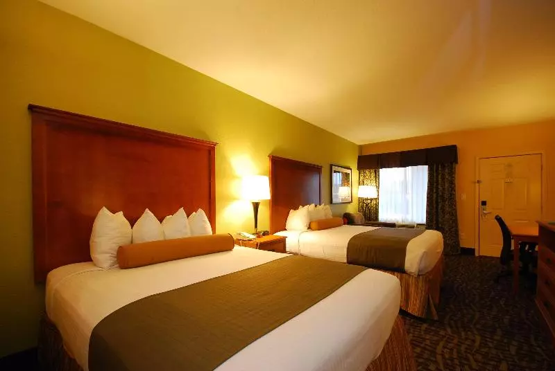 スタンダードルーム, Hilton Garden Inn Frankfurt Airport