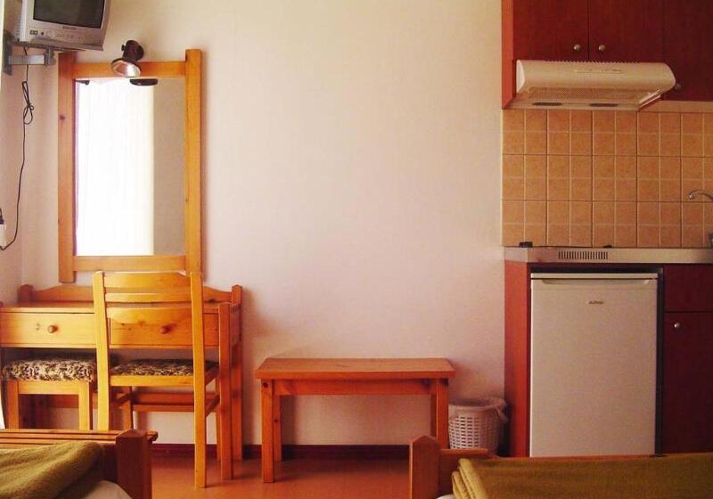 スタンダードスタジオ, Thisvi