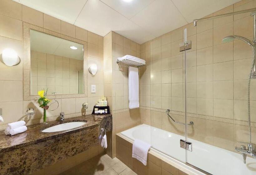 إستوديو ديلوكس, Al Manzel Hotel Apartments