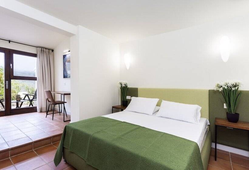 标准间, Alta Montana