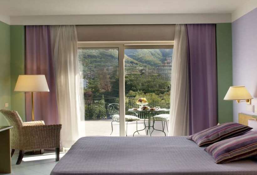 带山景的高级间, Dei Congressi