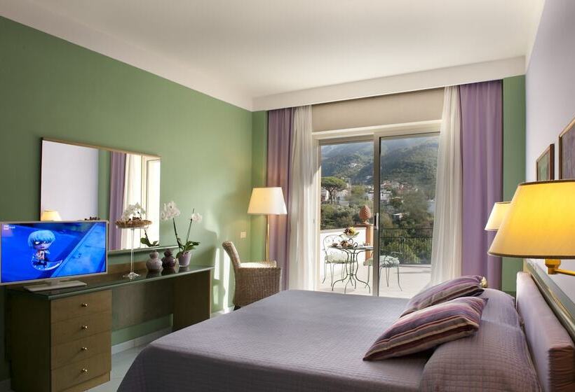 带山景的高级间, Dei Congressi