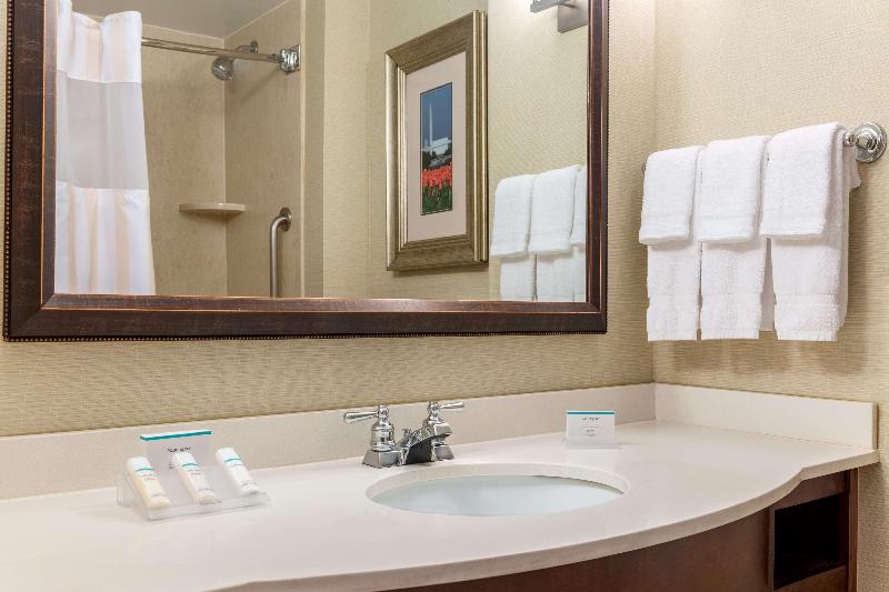 스탠다드 룸 킹사이즈 침대, Hilton Garden Inn Arlington/courthouse Plaza