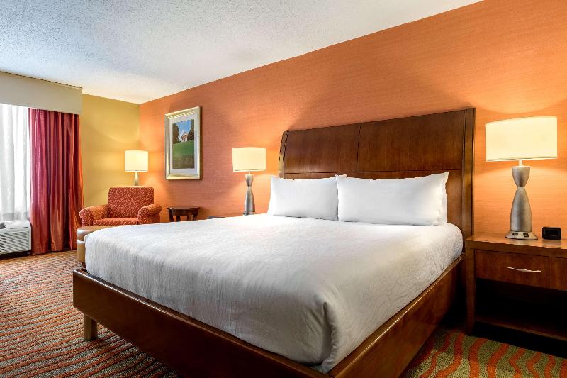 اتاق استاندارد با تخت بزرگ, Hilton Garden Inn Arlington/courthouse Plaza