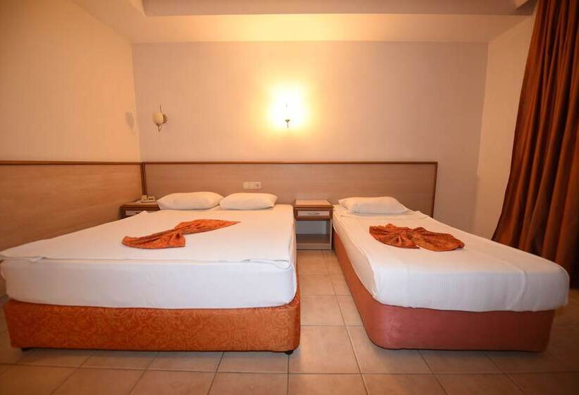 스탠다드 룸, Park