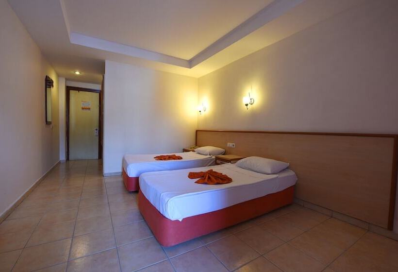 스탠다드 룸, Park