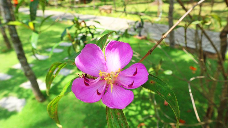 ویلای 1 خوابه, The Ritzcarlton Ras Al Khaimah, Al Wadi Desert