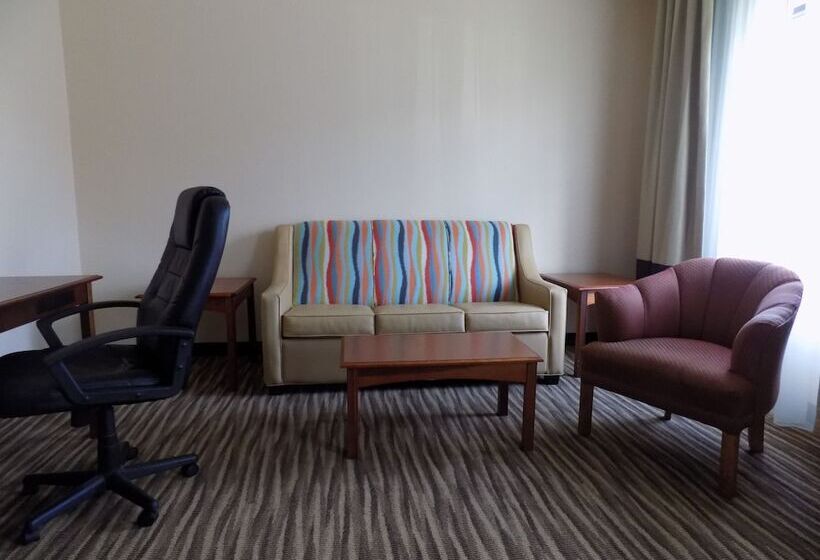 סוויטה, Baymont By Wyndham Augusta Riverwatch