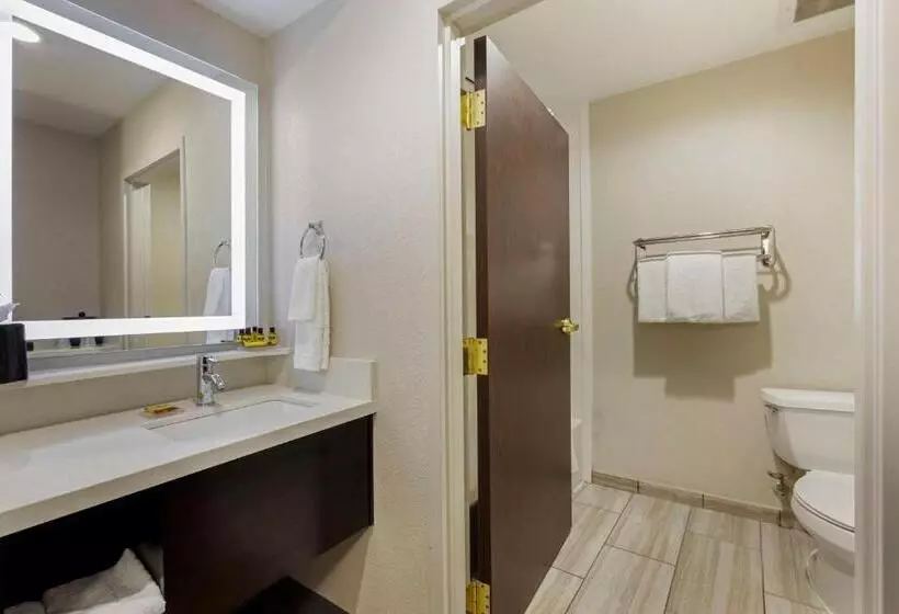 スタンダードルーム, Best Western Plus Nashville Airport Hotel   Bna