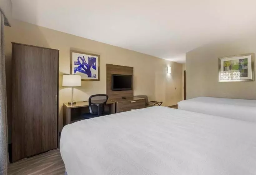 スタンダードルーム, Best Western Plus Nashville Airport Hotel   Bna