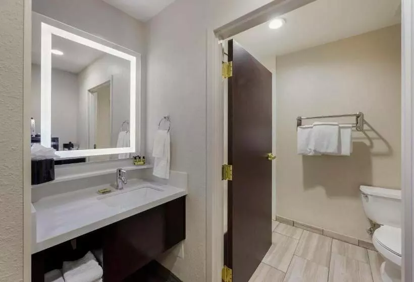 キングサイズベッドのスタンダードルーム, Best Western Plus Nashville Airport Hotel   Bna