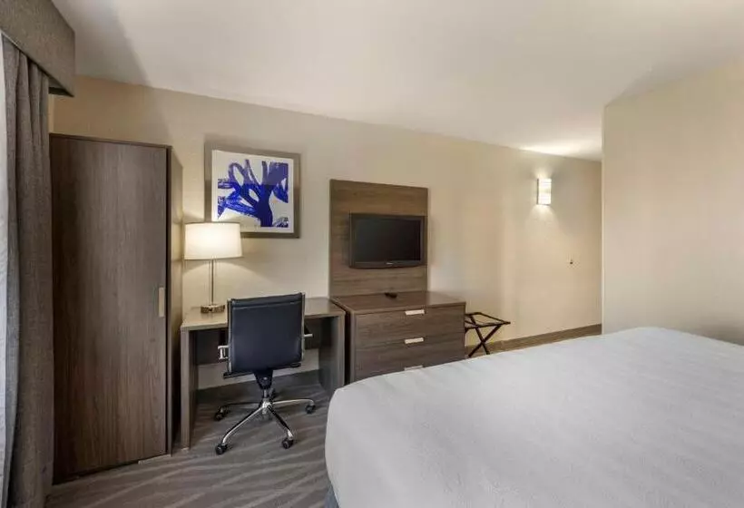 キングサイズベッドのスタンダードルーム, Best Western Plus Nashville Airport Hotel   Bna