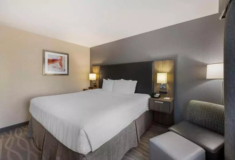 キングサイズベッドのスタンダードルーム, Best Western Plus Nashville Airport Hotel   Bna
