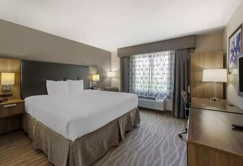 キングサイズベッドのスタンダードルーム, Best Western Plus Nashville Airport Hotel   Bna