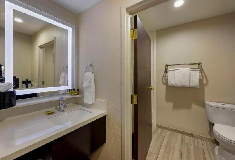 سوئیت اجرایی با تخت کینگ, Best Western Plus Nashville Airport Hotel   Bna