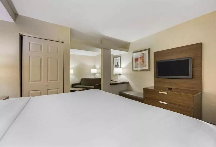 キングサイズベッドのエクゼクティブ, Best Western Plus Nashville Airport Hotel   Bna