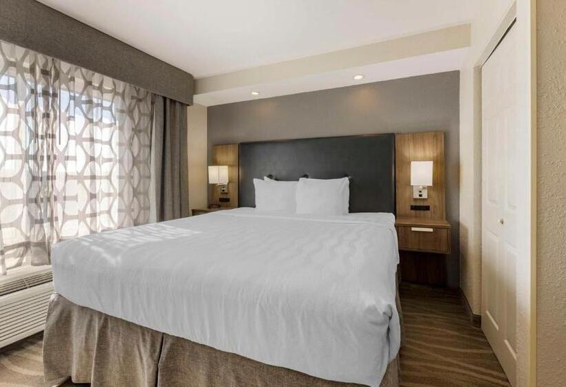 سوئیت اجرایی با تخت کینگ, Best Western Plus Nashville Airport Hotel   Bna