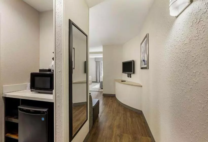 キングサイズベッドのスイートルーム, Best Western Plus Nashville Airport Hotel   Bna