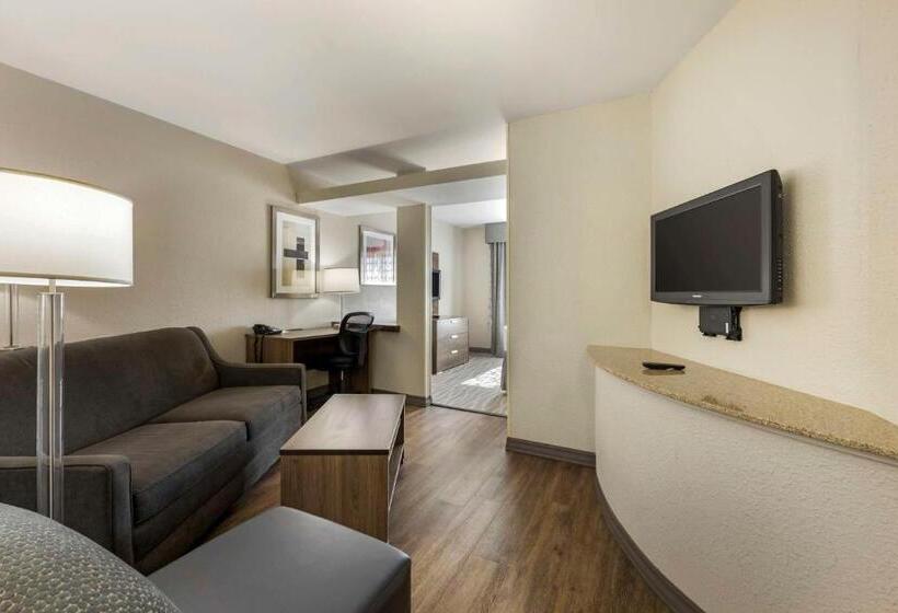 Suite Łóżko King Size, Best Western Plus Nashville Airport Hotel   Bna