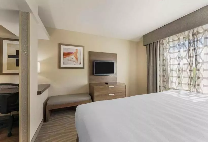 キングサイズベッドのスイートルーム, Best Western Plus Nashville Airport Hotel   Bna