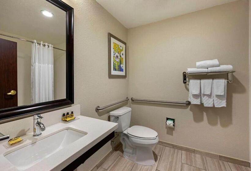 اتاق استاندارد با تخت بزرگ برای معلولان, Best Western Plus Nashville Airport Hotel   Bna