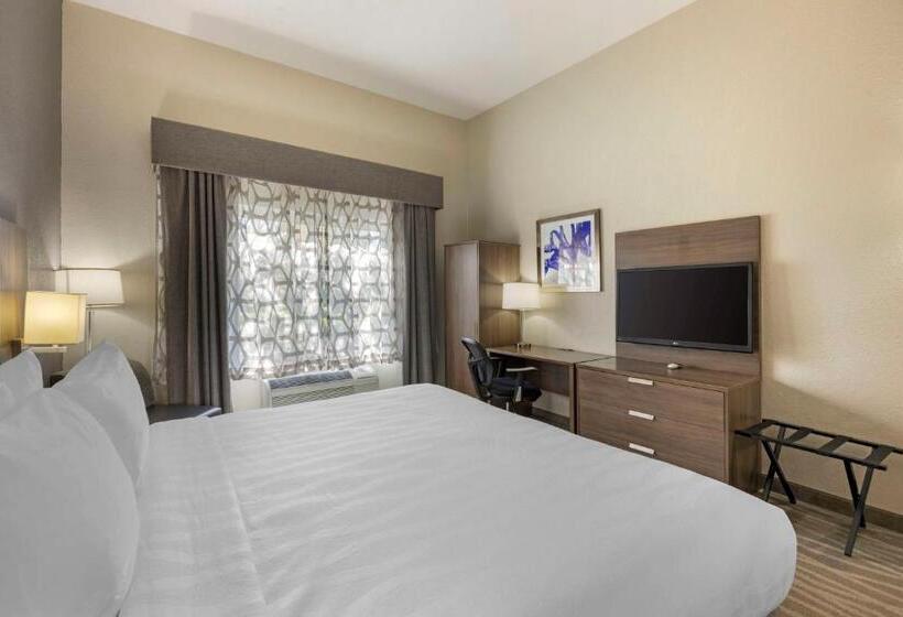 Pokój Typu Standard Łóżko King Przystosowany dla Osób Niepełnosprawnych, Best Western Plus Nashville Airport Hotel   Bna