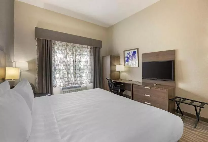 身障者適用キングサイズベッドルーム, Best Western Plus Nashville Airport Hotel   Bna