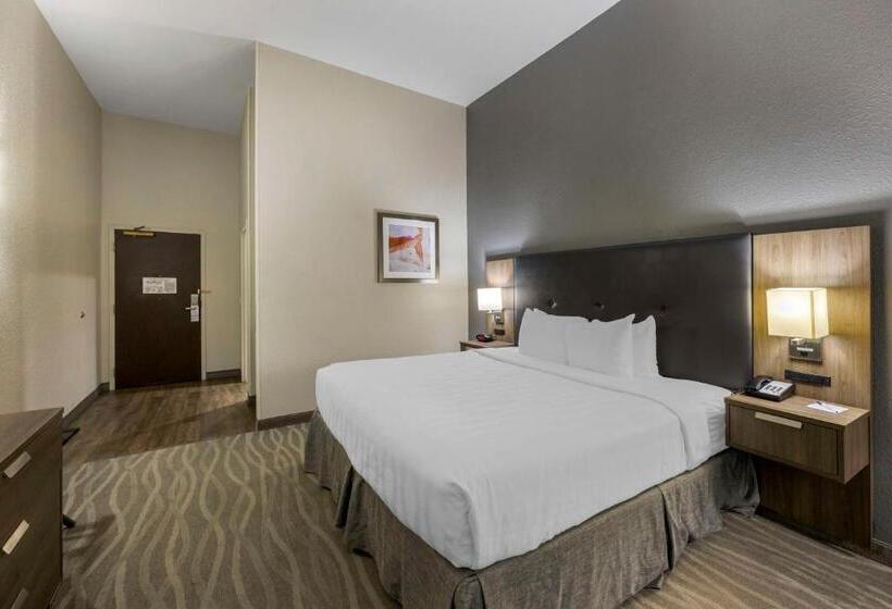 اتاق استاندارد با تخت بزرگ برای معلولان, Best Western Plus Nashville Airport Hotel   Bna