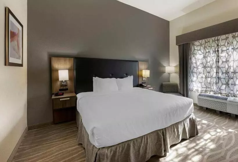 身障者適用キングサイズベッドルーム, Best Western Plus Nashville Airport Hotel   Bna