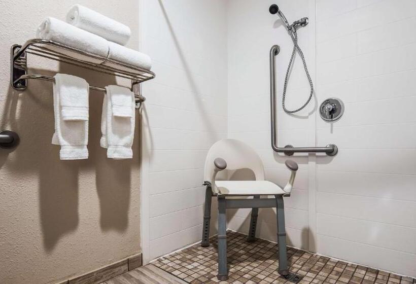 Pokój Typu Standard Łóżko King Przystosowany dla Osób Niepełnosprawnych, Best Western Plus Nashville Airport Hotel   Bna