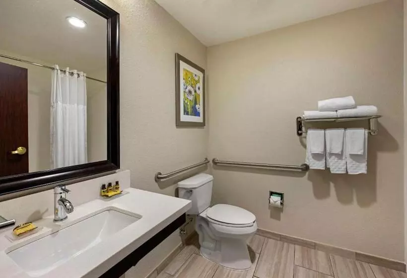 身障者適用スタンダードルーム, Best Western Plus Nashville Airport Hotel   Bna