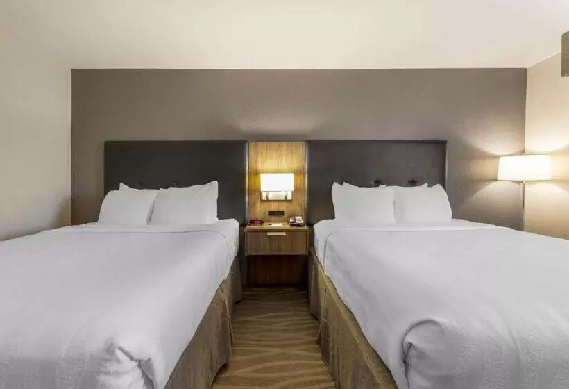 身障者適用スタンダードルーム, Best Western Plus Nashville Airport Hotel   Bna