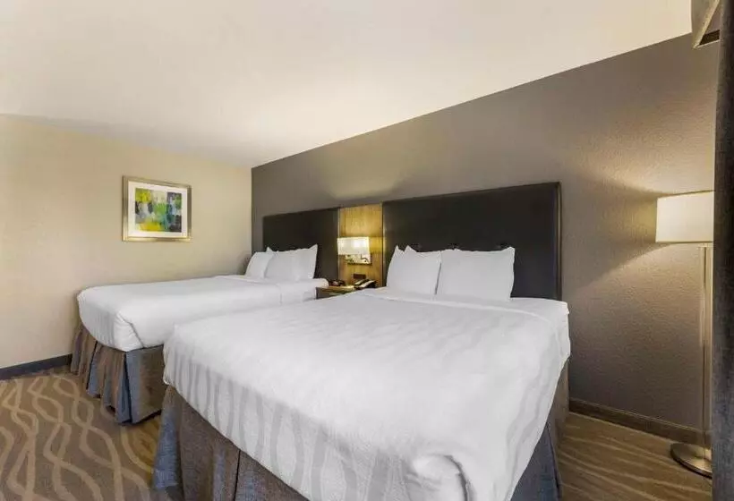 身障者適用スタンダードルーム, Best Western Plus Nashville Airport Hotel   Bna
