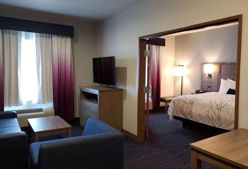 سوییت, Best Western Plus San Antonio East Inn & Suites