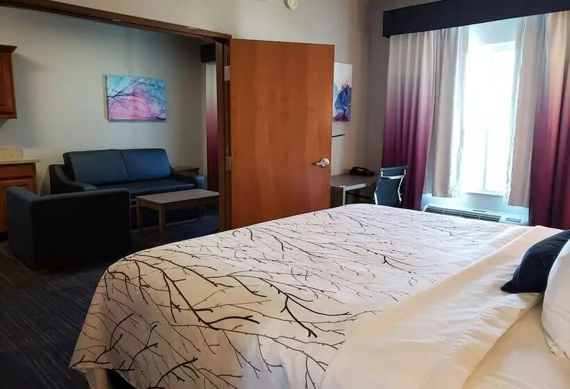 سوییت, Best Western Plus San Antonio East Inn & Suites