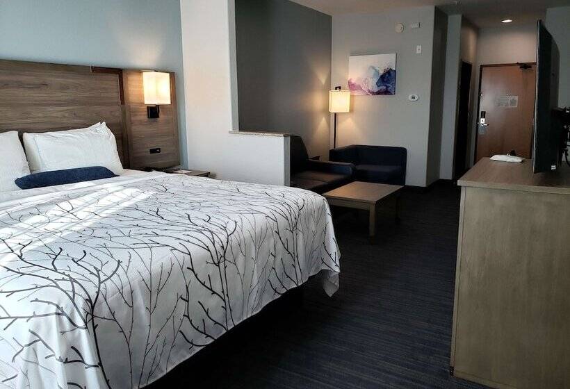 سوییت, Best Western Plus San Antonio East Inn & Suites