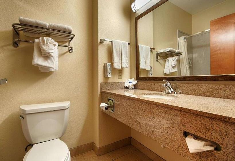 اتاق استاندارد, Best Western Plus San Antonio East Inn & Suites