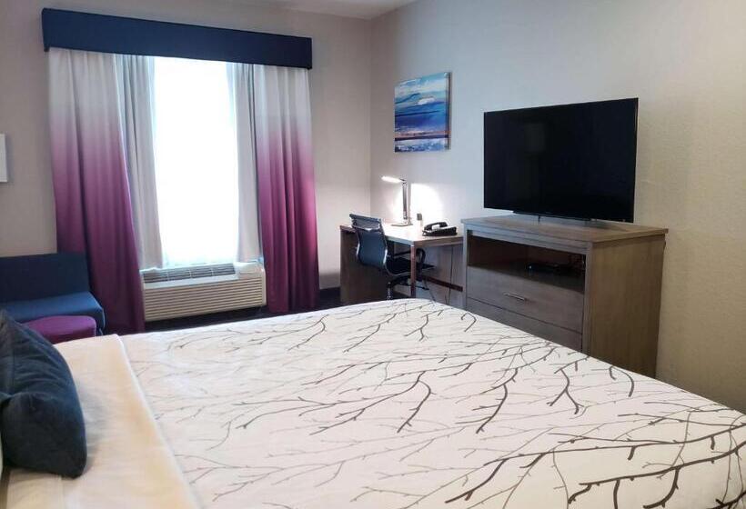 اتاق استاندارد, Best Western Plus San Antonio East Inn & Suites