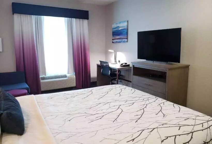 اتاق استاندارد, Best Western Plus San Antonio East Inn & Suites