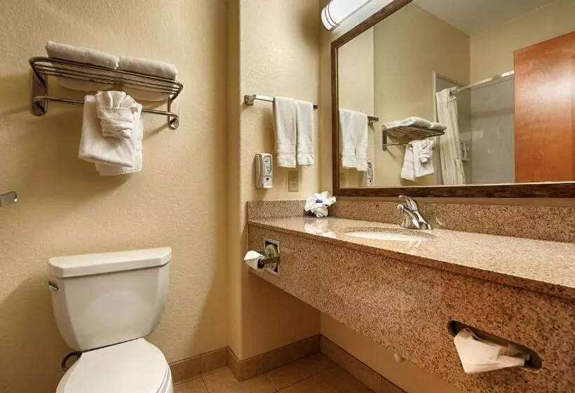 اتاق استاندارد با تخت بزرگ, Best Western Plus San Antonio East Inn & Suites