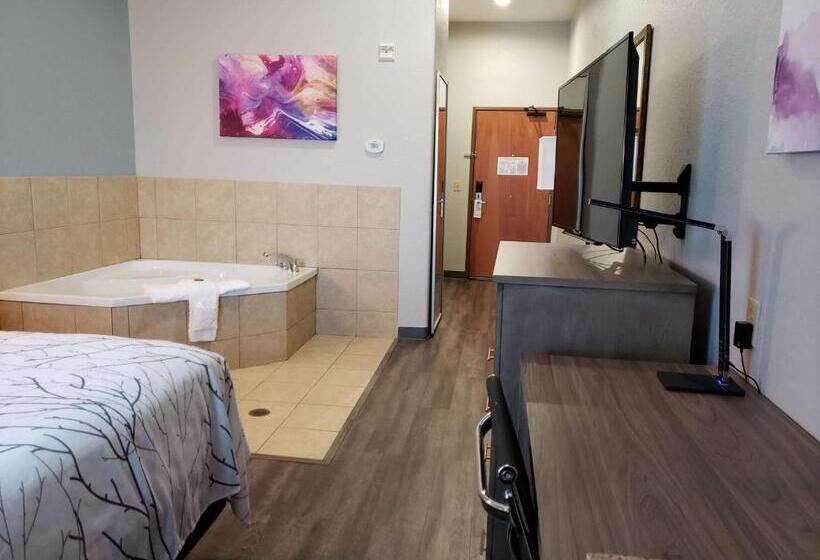 اتاق استاندارد با تخت بزرگ, Best Western Plus San Antonio East Inn & Suites