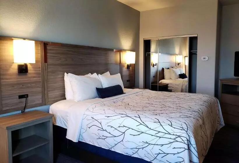 سوئیت با تخت بزرگ, Best Western Plus San Antonio East Inn & Suites