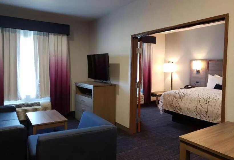 سوئیت با تخت بزرگ, Best Western Plus San Antonio East Inn & Suites