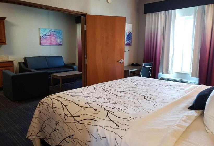 سوئیت با تخت بزرگ, Best Western Plus San Antonio East Inn & Suites